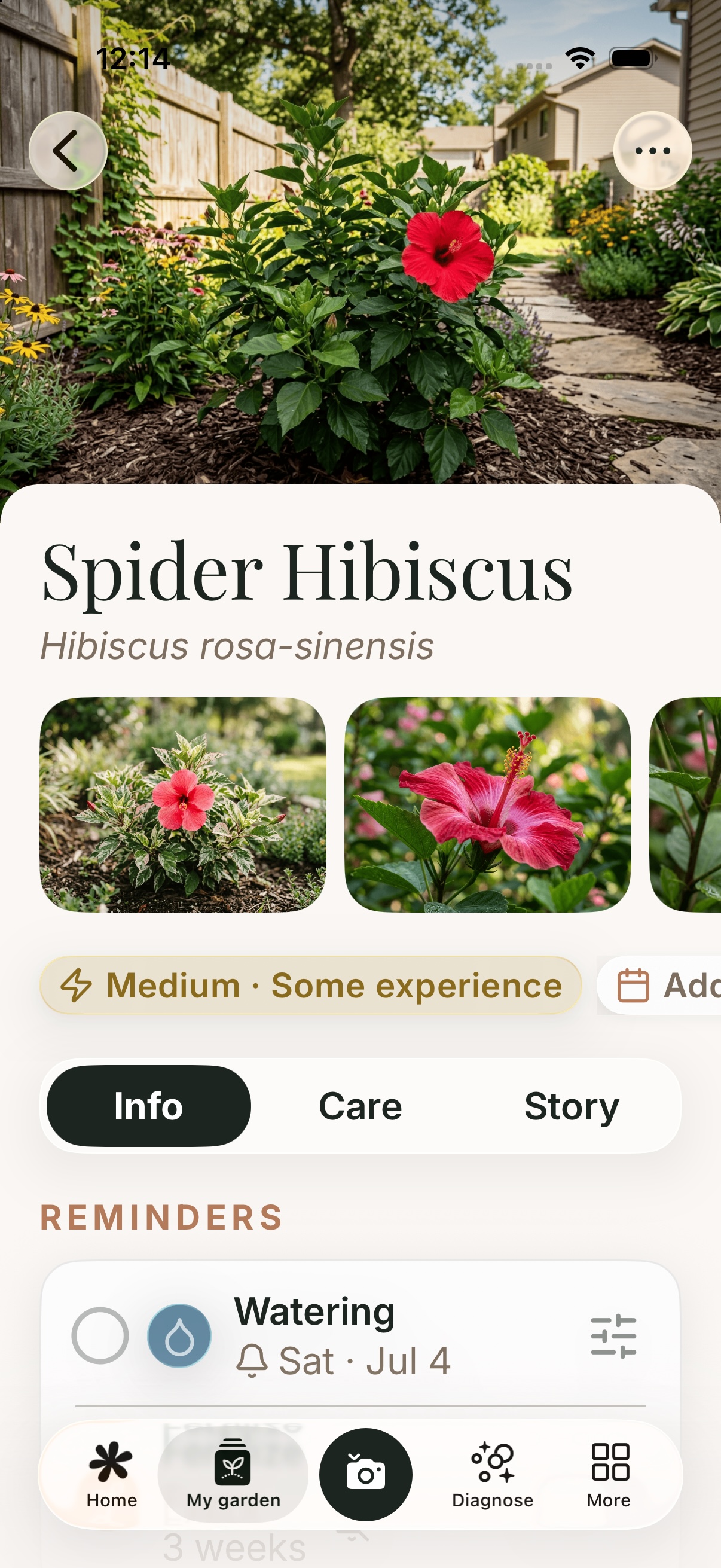 A plant detail page at the largest accessibility text size, with headings, tabs and reminder rows all scaled up and fully readable.