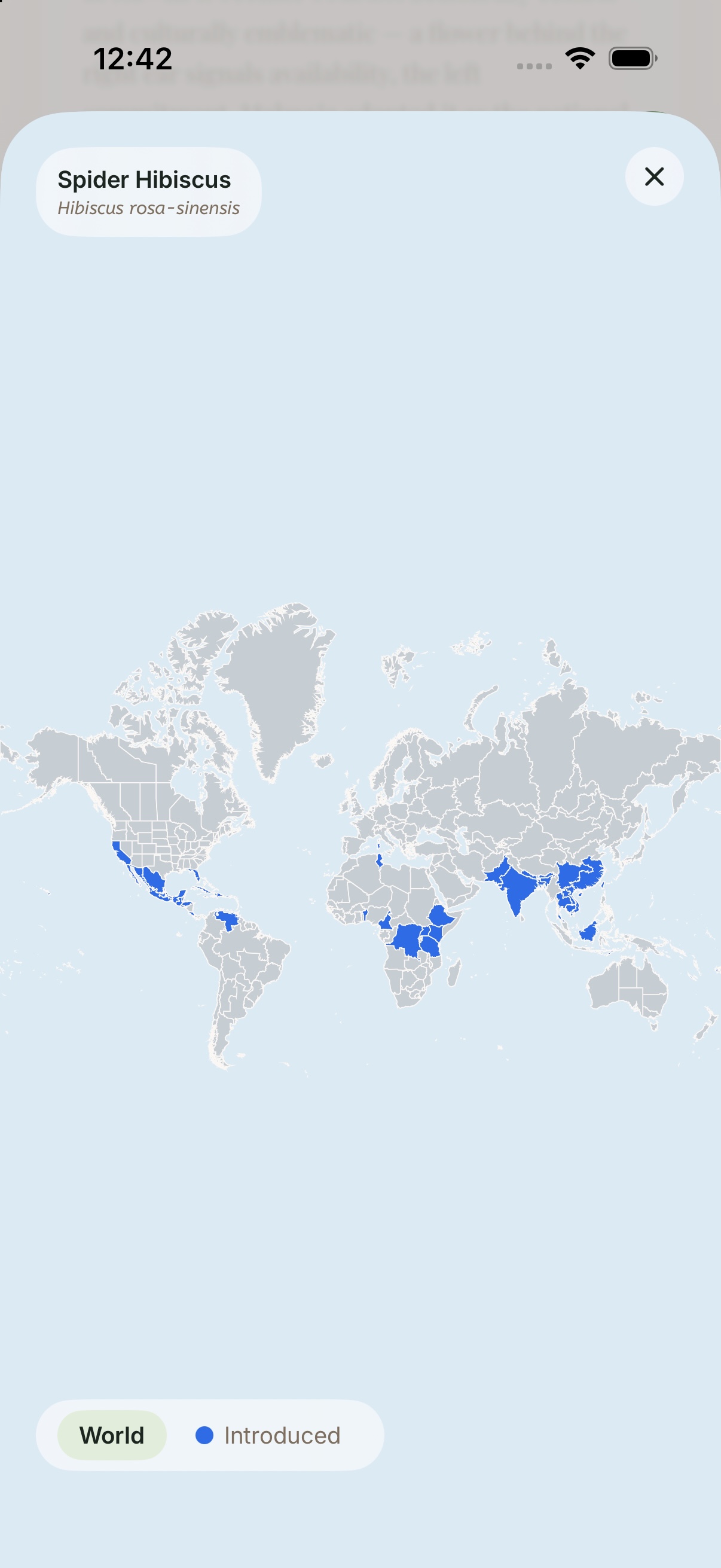 The world distribution map with regions filled in solid blue.