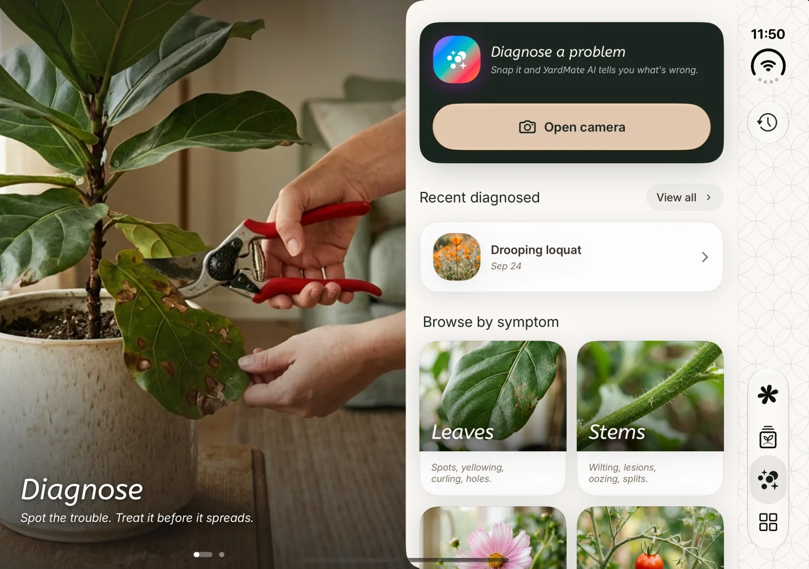 Diagnose as a spread: a photo of hands pruning a spotted fiddle-leaf fig on the left, the camera prompt, recent diagnoses and symptoms on the right.